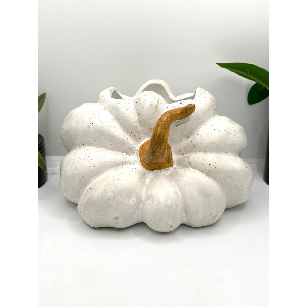 Decorative White Pumpkin Planter With Orange Stem